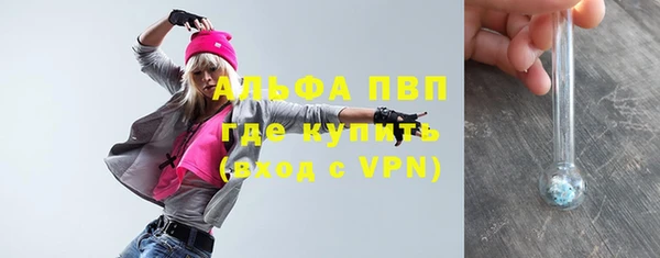 стаф Алексин
