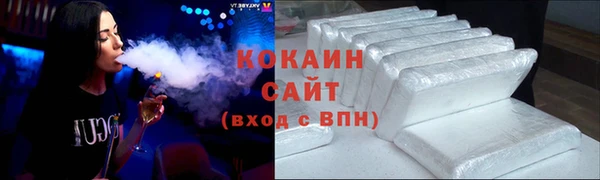 стаф Алексин