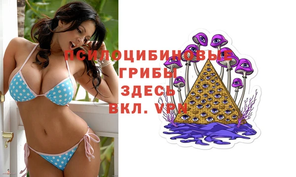 прущие грибы Алзамай