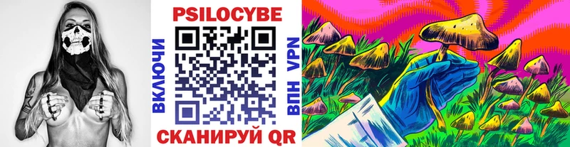 Галлюциногенные грибы Cubensis  Андреаполь 
