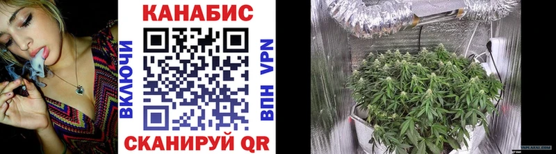 Бошки марихуана план  Андреаполь 